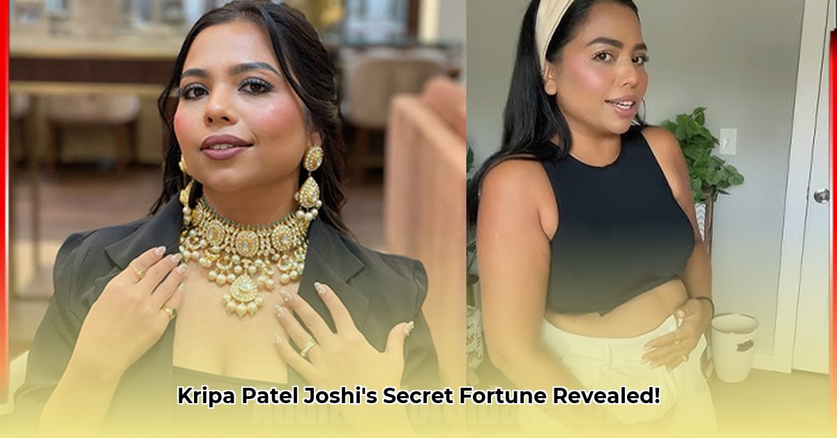 kripa-patel-joshi-net-worth